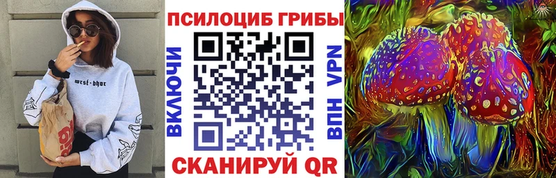 Псилоцибиновые грибы мицелий  Шагонар 