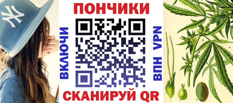 закладка  Шагонар  Каннабис Amnesia 